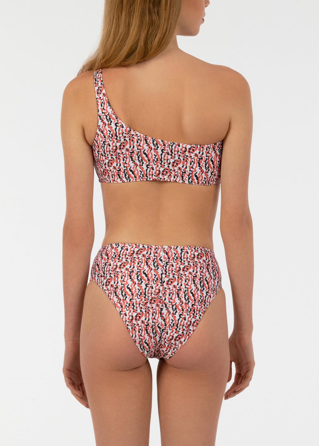 Eva Bikini - Zebra Anemone Group